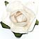 Decorate your personalized wedding bubbles with one of these beautiful embellishments. Choose from paper roses, cala lilies, seashells, glass heart charms, lotus blossoms, daisies and more!