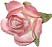 Decorate your personalized wedding bubbles with one of these beautiful embellishments. Choose from paper roses, cala lilies, seashells, glass heart charms, lotus blossoms, daisies and more!
