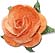Decorate your personalized wedding bubbles with one of these beautiful embellishments. Choose from paper roses, cala lilies, seashells, glass heart charms, lotus blossoms, daisies and more!