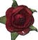 Decorate your personalized wedding bubbles with one of these beautiful embellishments. Choose from paper roses, cala lilies, seashells, glass heart charms, lotus blossoms, daisies and more!
