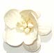 Decorate your personalized wedding bubbles with one of these beautiful embellishments. Choose from paper roses, cala lilies, seashells, glass heart charms, lotus blossoms, daisies and more!