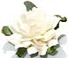 Decorate your personalized wedding bubbles with one of these beautiful embellishments. Choose from paper roses, cala lilies, seashells, glass heart charms, lotus blossoms, daisies and more!