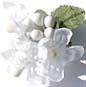 Decorate your personalized wedding bubbles with one of these beautiful embellishments. Choose from paper roses, cala lilies, seashells, glass heart charms, lotus blossoms, daisies and more!