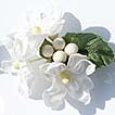 Decorate your personalized wedding bubbles with one of these beautiful embellishments. Choose from paper roses, cala lilies, seashells, glass heart charms, lotus blossoms, daisies and more!
