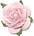Decorate your personalized wedding bubbles with one of these beautiful embellishments. Choose from paper roses, cala lilies, seashells, glass heart charms, lotus blossoms, daisies and more!