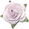 Decorate your personalized wedding bubbles with one of these beautiful embellishments. Choose from paper roses, cala lilies, seashells, glass heart charms, lotus blossoms, daisies and more!